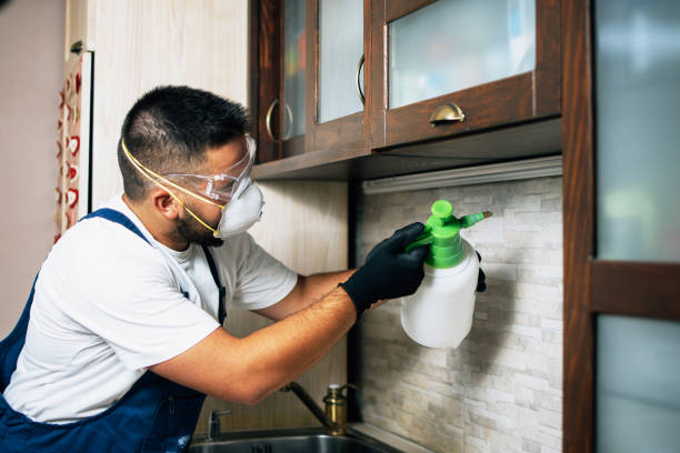 Insect Control in Greencastle, PA