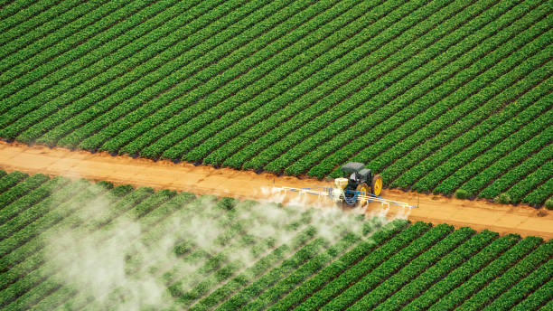 Best Commercial Pest Control Services  in Greencastle, PA